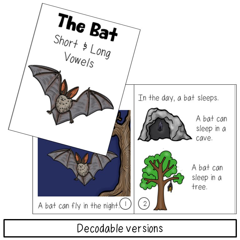 Bat Book Print and Digital | Decodable & Emergent Reader