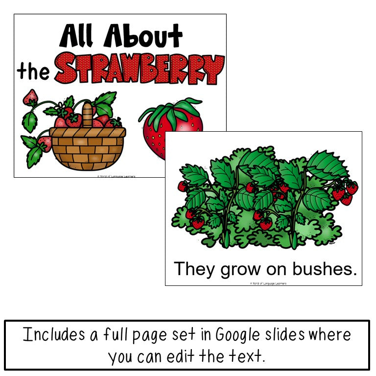Strawberries Print and Digital | Emergent Reader and Decodable