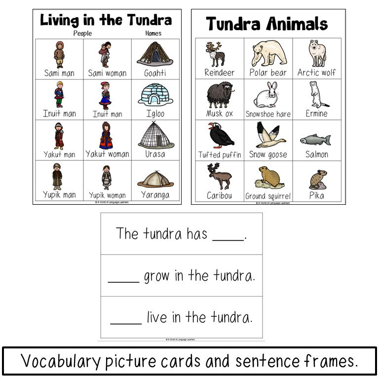 Tundra Reading Passage