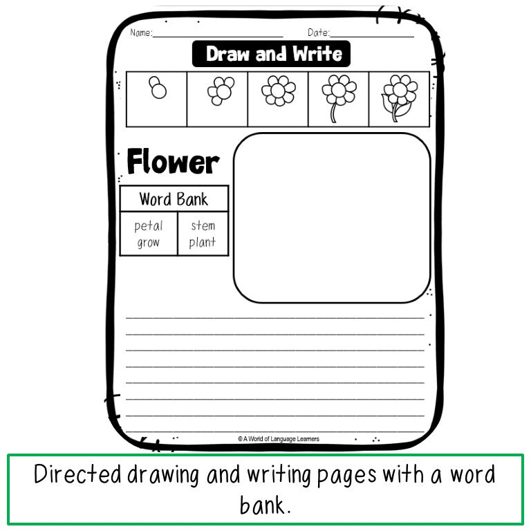 Spring Directed Drawing and Writing
