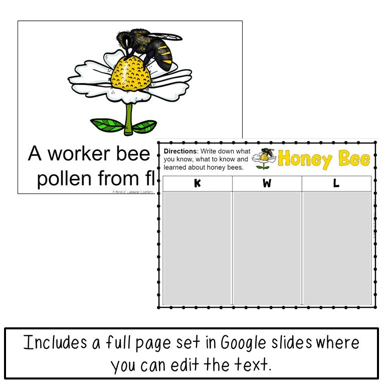 Honey Bee Book Print and Digital | Emergent Reader and Decodable