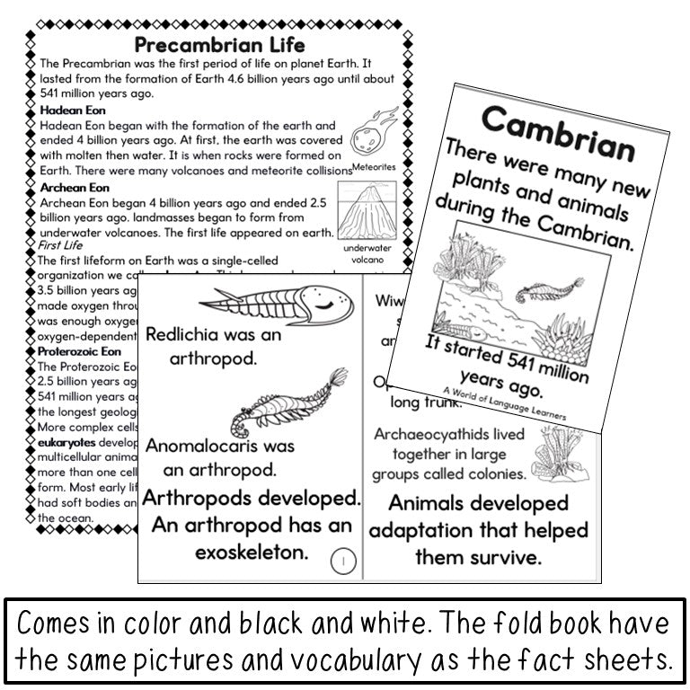 Prehistoric Life Fact Sheets & Fold Books Bundle