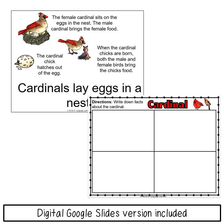 Cardinal Bird Book - Decodable & Informational Text - Print and Digital