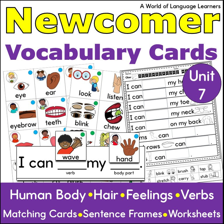 Newcomer ESL Picture Vocabulary Cards- Human Body- Nouns & Verbs