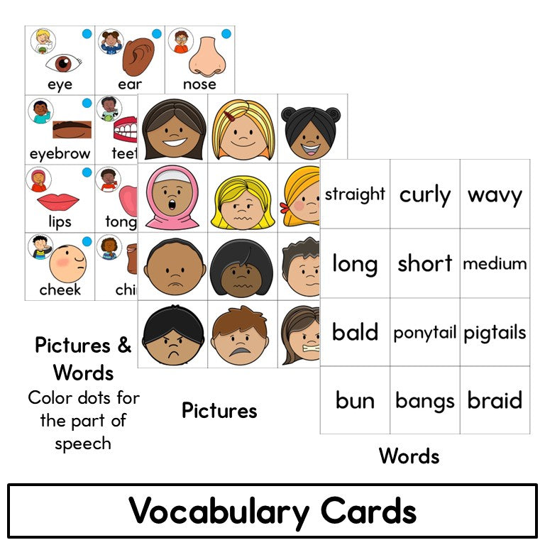 Newcomer ESL Picture Vocabulary Cards- Human Body- Nouns & Verbs