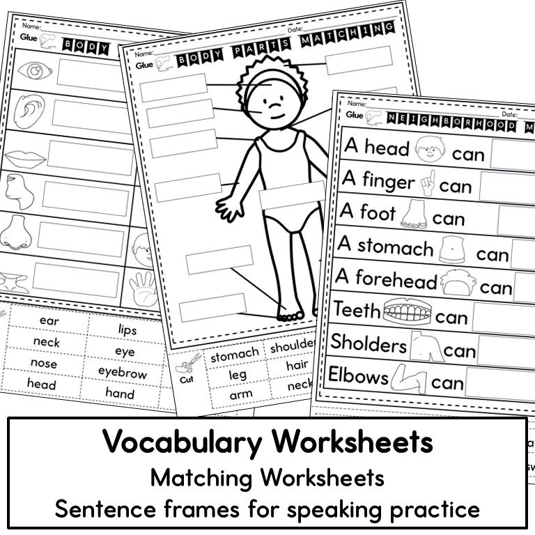 Newcomer ESL Picture Vocabulary Cards- Human Body- Nouns & Verbs