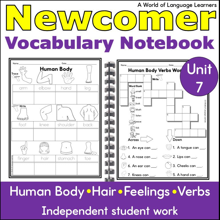 Newcomer ESL Vocabulary Notebook- Human Body Words- Nouns, Verbs, Adjectives