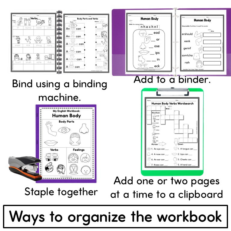 Newcomer ESL Vocabulary Notebook- Human Body Words- Nouns, Verbs, Adjectives