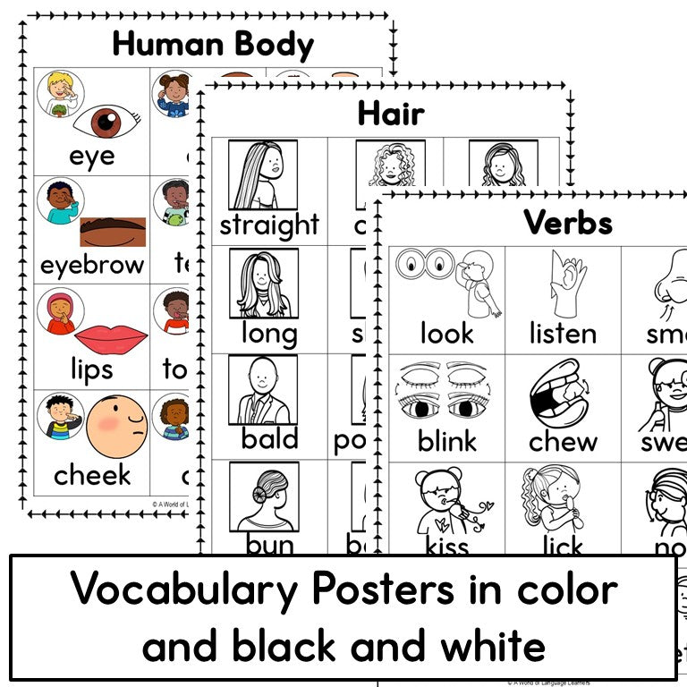 Newcomer ESL Vocabulary Notebook- Human Body Words- Nouns, Verbs, Adjectives