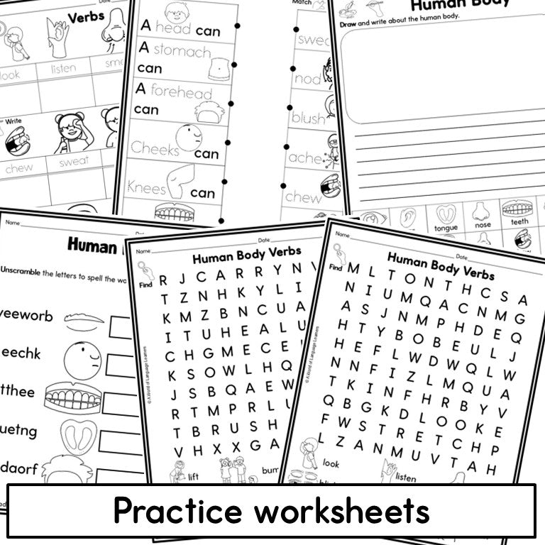 Newcomer ESL Vocabulary Notebook- Human Body Words- Nouns, Verbs, Adjectives