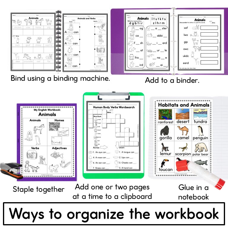 Newcomer ESL Vocabulary Notebook- Animals- Nouns, Verbs, Adjectives