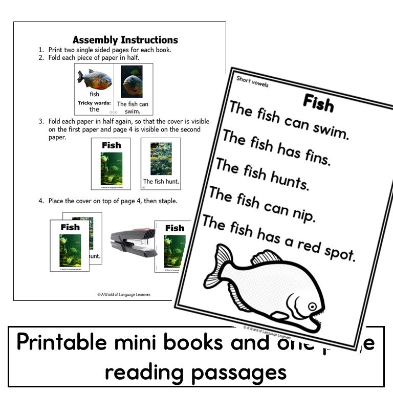 Short Vowel Decodables Rainforest Animal Books - Nonfiction Print and Digital
