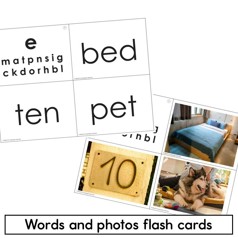 Photo CVC Word Practice - Sort Vowels Print and Digital