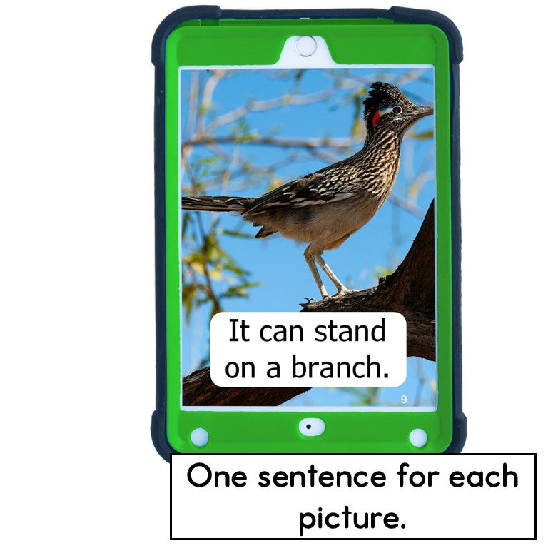 Short Vowel Decodables Desert Animal Books - Nonfiction Print and Digital