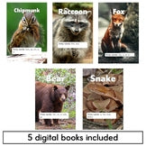 Short Vowel Decodables Forest Animal Books - Nonfiction Print and Digital