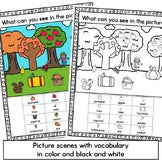 Fall Picture Scene Parts of Speech Grammar & Vocabulary Practice