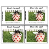 Preposition & Prepositional Phrase Task Cards