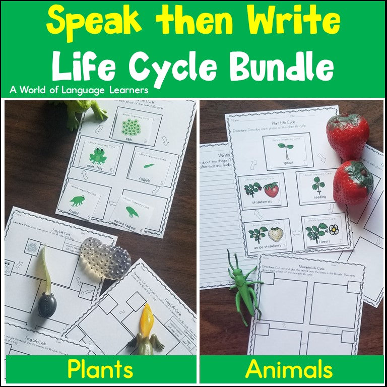 Life Cycle Bundle Speak then Write