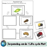 Life Cycle Bundle Speak then Write