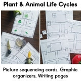 Speak then Write Mega Bundle Print and Digital | Graphic Organizers & Pictures