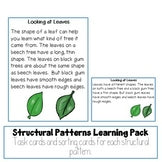 Structural Patterns Practice Activities and Task Cards