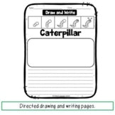 Directed Drawing and Writing Bundle