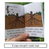 Decodable Books & Emergent Readers | Nonfiction Mini Book Bundle