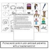 Picture Phonics Assessments Bundle