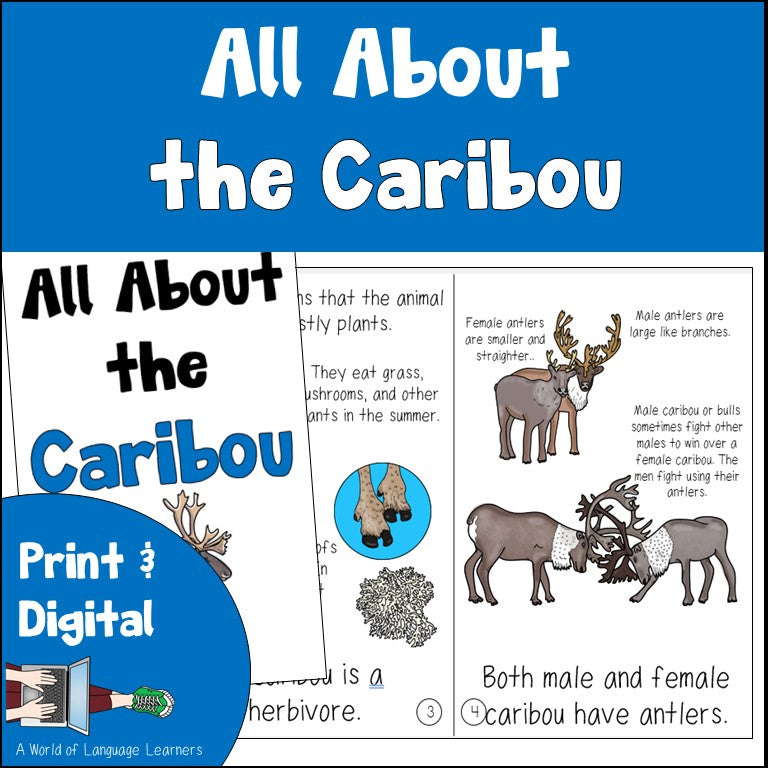 Caribou Information Book and Decodable | Reindeer Print and Digital