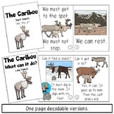 Caribou Information Book and Decodable | Reindeer Print and Digital