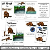 Beaver Information Book | Emergent Reader and Decodable | Print and Digital