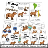 Capybara Information Book | Emergent Reader and Decodable | Print and Digital