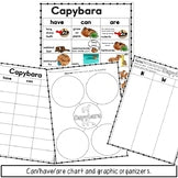 Capybara Information Book | Emergent Reader and Decodable | Print and Digital